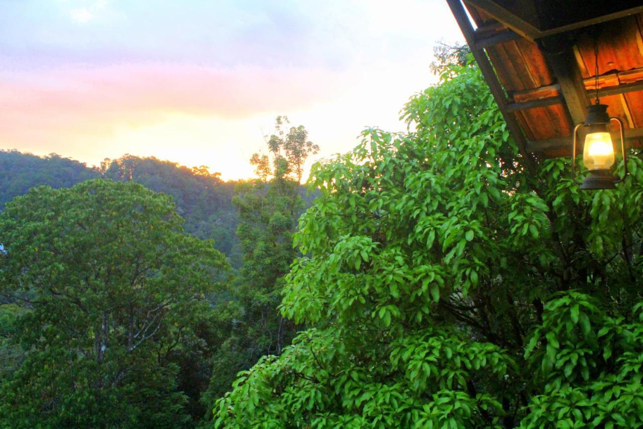 Hotel The Wild Trails Clarks Exotica , Munnar Extérieur photo