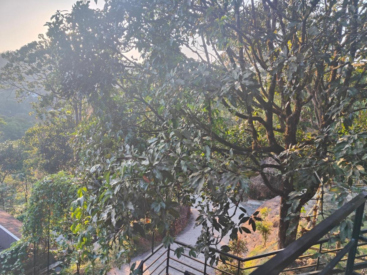 Hotel The Wild Trails Clarks Exotica , Munnar Extérieur photo